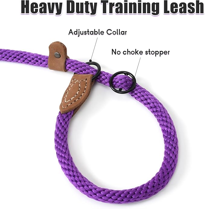 Mile High Life Slip Leads for Dogs 5 Feet