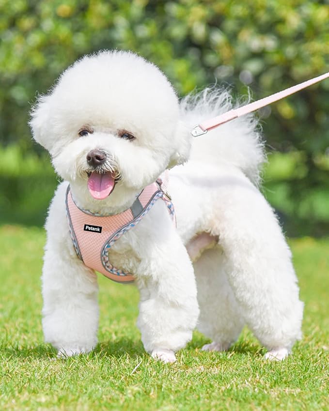 Petank Dog Harness (Pink