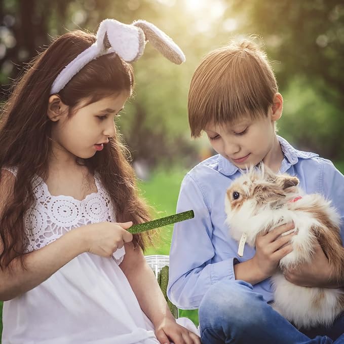 DELEMI 20pcs Natural Timothy Hay Sticks