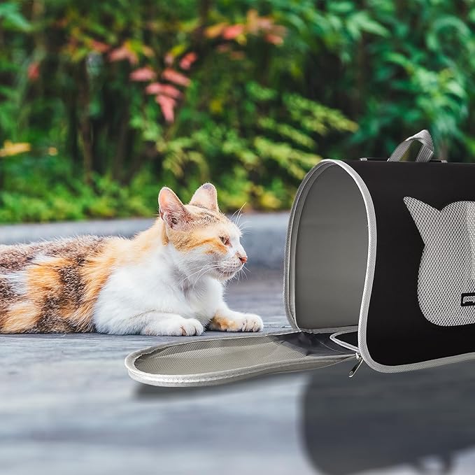 Cat Backpack Carrier (12lb) (Black)