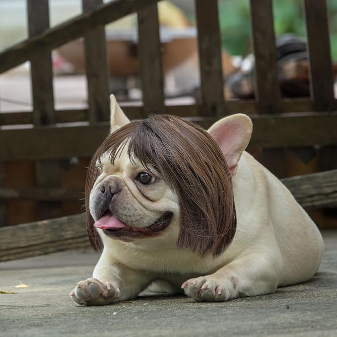 Funny Cat Dog Wig