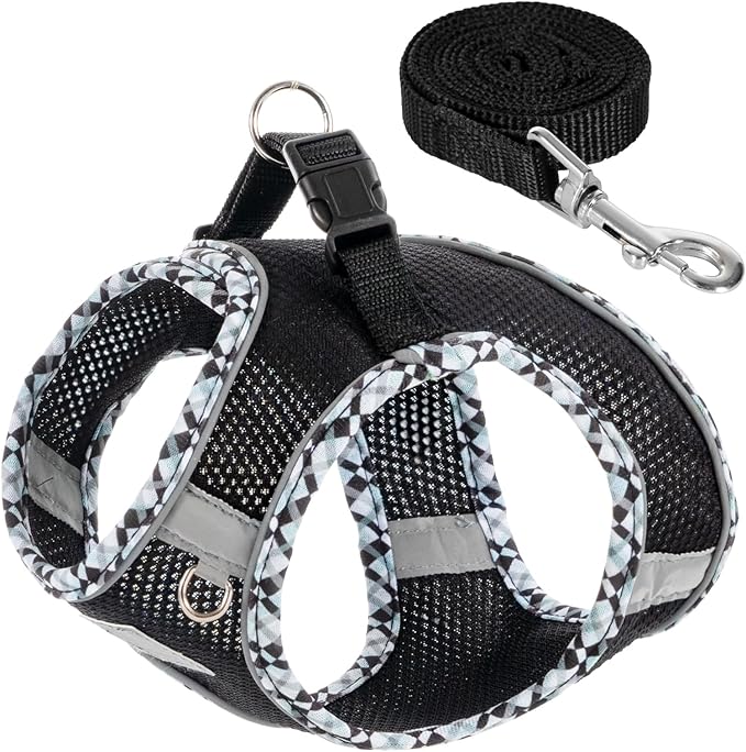 Dog Harness and Leash Set