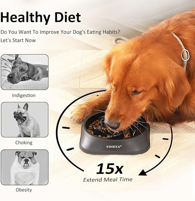 Pet Supplies Slow Feeder Dog Bowls Small Breed