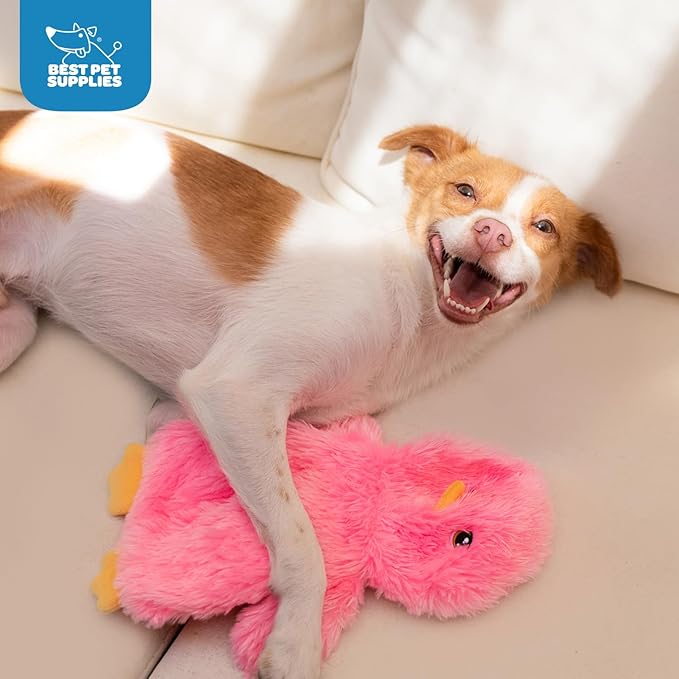 Best Pet Supplies Chicken Crinkle Plush Dog Toys for Interactive Play