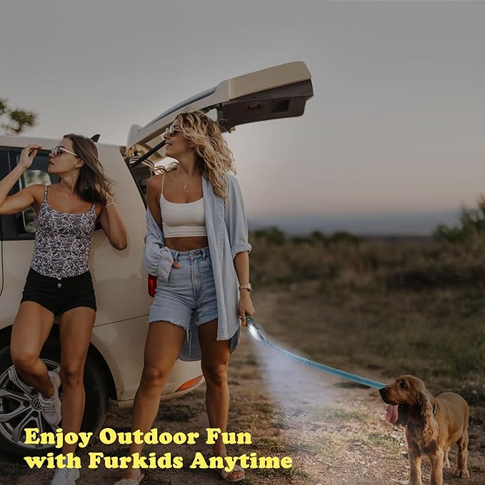 Removable Dog Seat Belt for Car