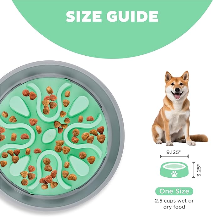 Outward Hound Fun Feeder Wobble Slo Bowl