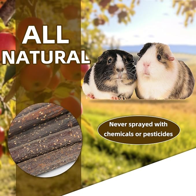 PetIsay 1200g Apple Sticks for Rabbits