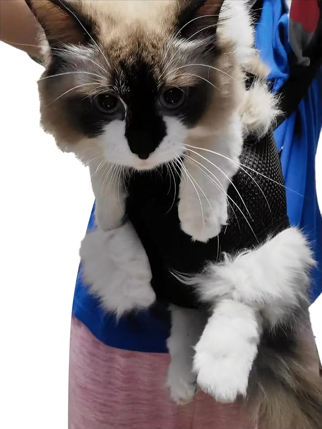 Pet Carrier Backpack