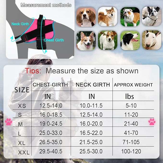 Bolux Dog Harness 1)