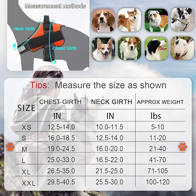 Bolux Dog Harness