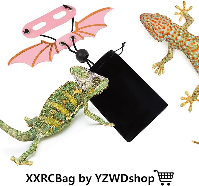 Bearded Dragon Carrier and Leather Leash