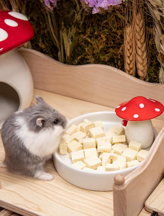 Niteangel Hamster Snack & Treats Toy 8mm - 0.7oz (19g))