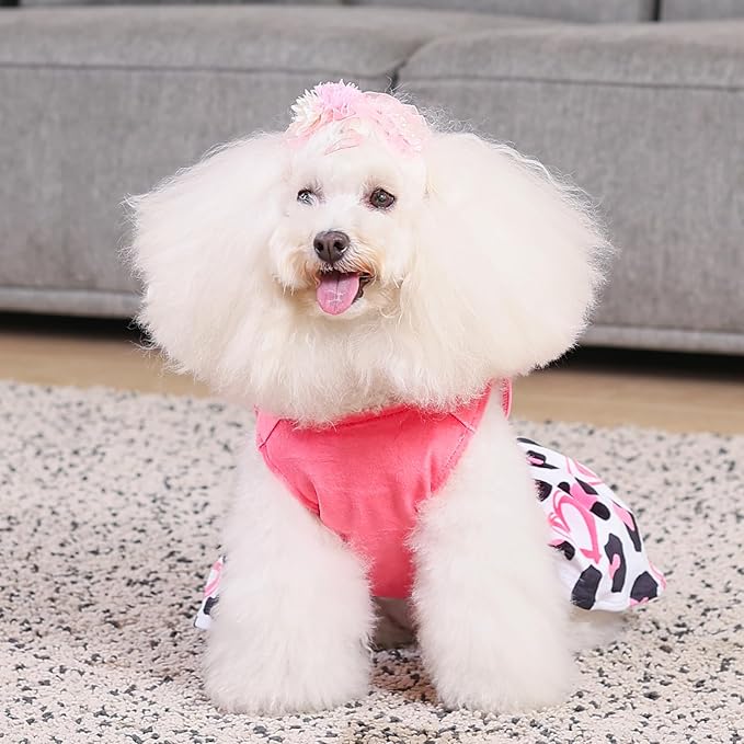 CuteBone Dog Dresses Velvet Mama's Girl Small Dogs CVA40XXS-D