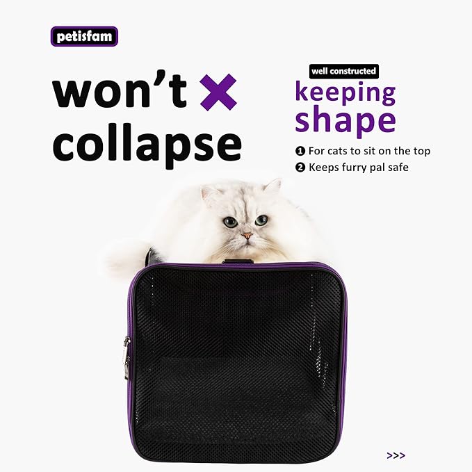 petisfam Soft Pet Carrier for Large and Medium Cats 2 Kitties,