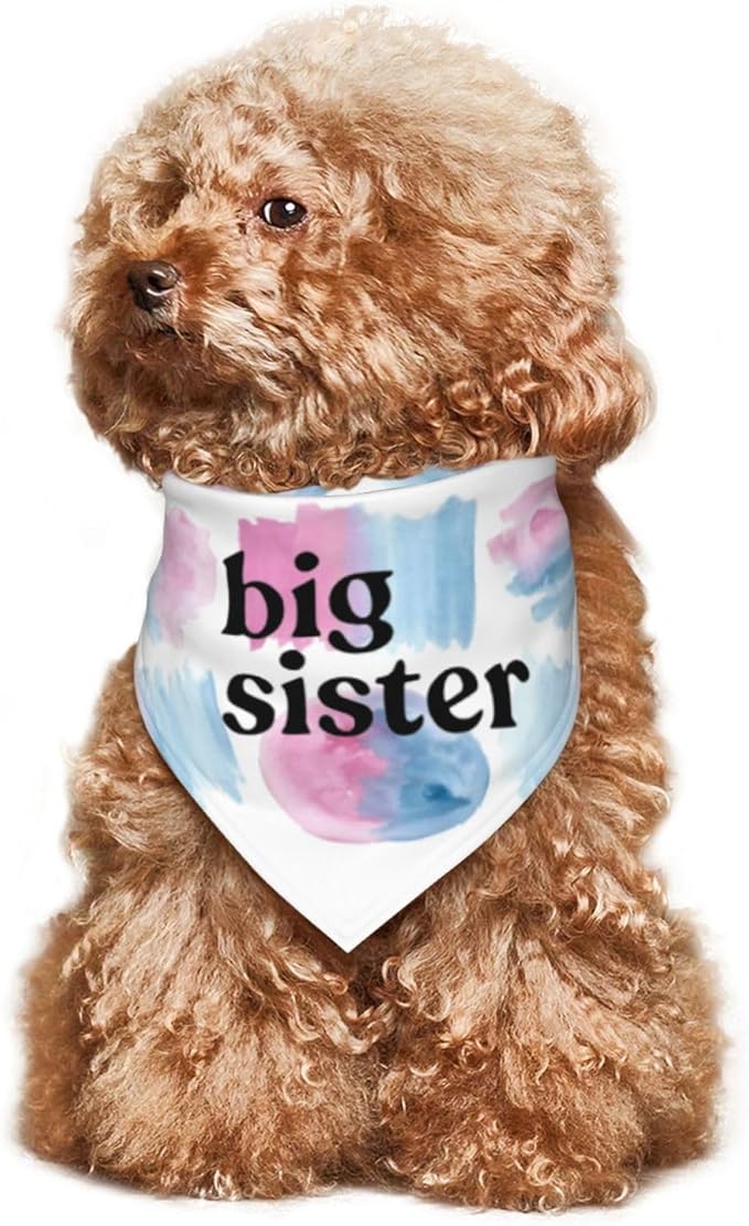 Big Sister Dog Bandana,Baby Announcement Dog Bandana,Gender Reveal,Pet Scarf, Pet Accessories for Photo Props Accessories (Color block)
