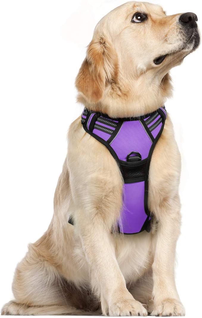 rabbitgoo Dog Harness 2 Leash
