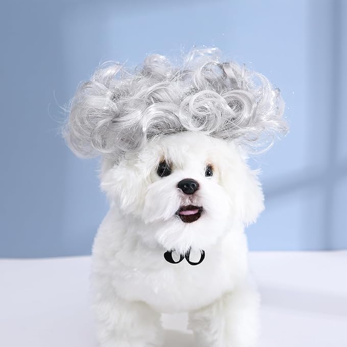 Funny Dog Cat Cosplay Wig