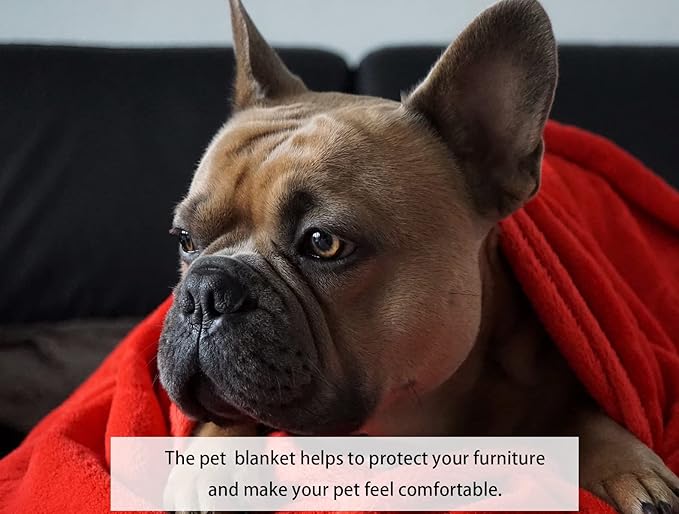 iMaylex Soft Puppy Flannel Fleece Blanket for Pet Dog Cat 27 x 39 inch (70 x 100 cm)