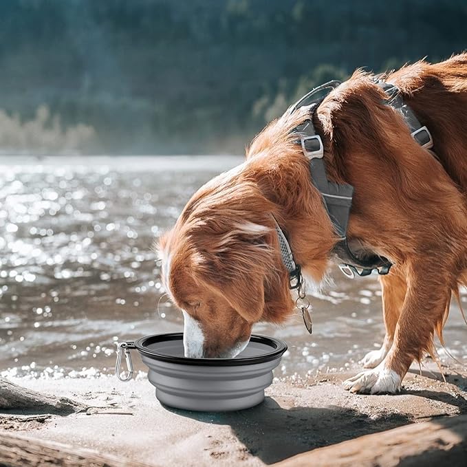 COOYOO Collapsible Dog Bowl 2 Pack 2 Carabiners
