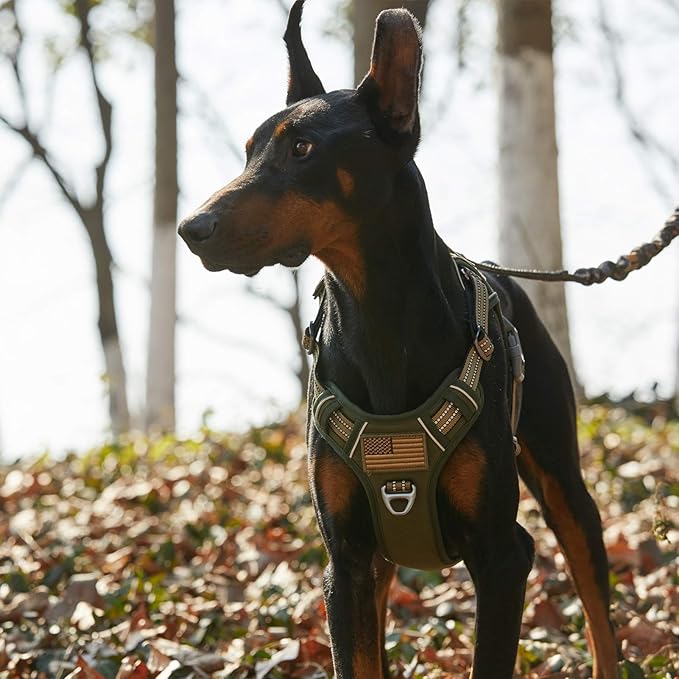 BUMBIN Tactical Dog Harness for Small Dogs No Pull