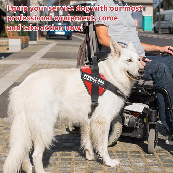 Service Dog Vest 50 ADA