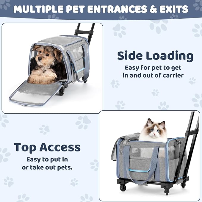 Pet Carrier for Small Dog Cat 20 Lbs