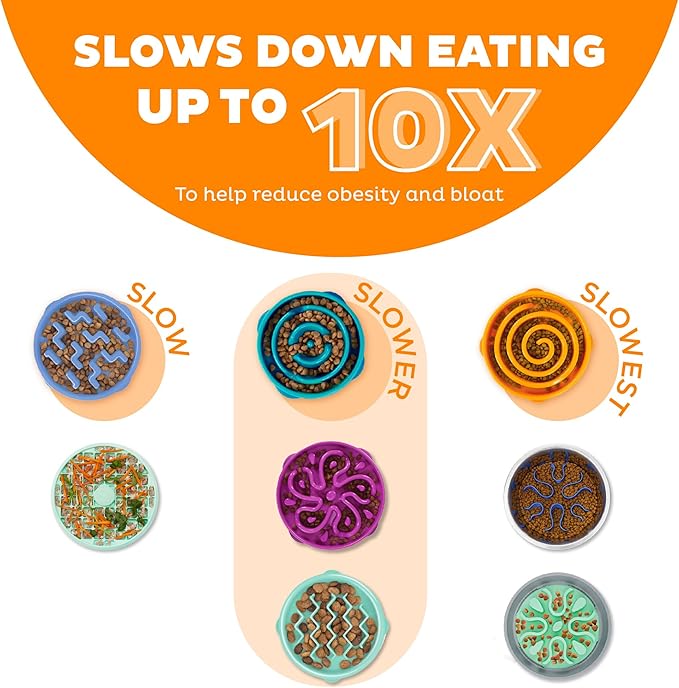 Outward Hound Fun Feeder Slo Bowl