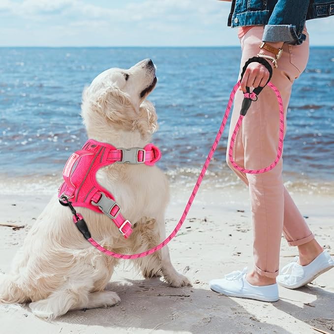 BARKBAY No Pull Dog Harness 3 Buckles Large Step in Reflective Dog Harness with Front Clip and Easy Control Handle for Walking Training Running with ID tag Pocket(Pink
