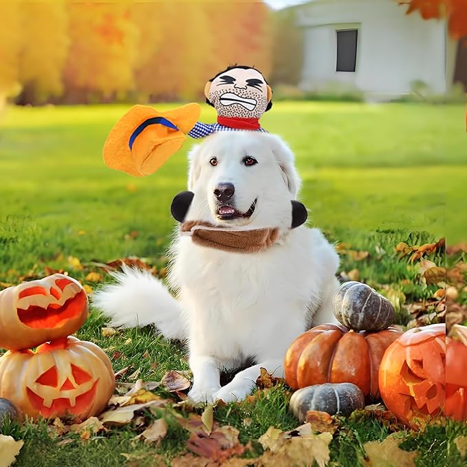 Funny Cowboy Rider Dog Costume
