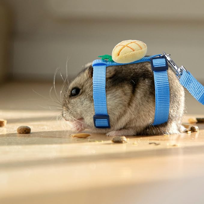 2 PCS Adjustable Rabbit Harness and Leash Set