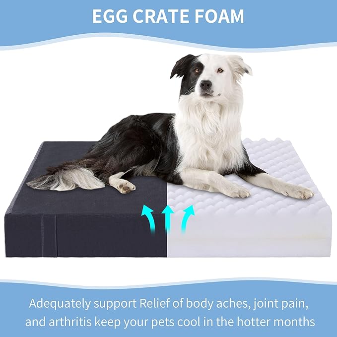 MABOZOO Chew Proof Dog Bed 3.5‘’ Extra (33x27inch)