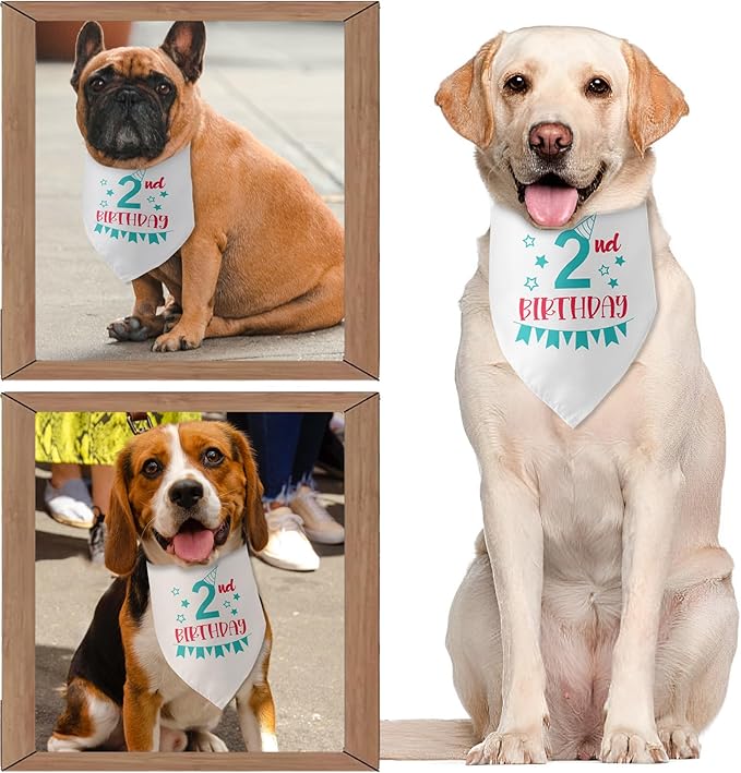 2nd Birthday Dog Bandana 2 Years Old Birthday 2nd Birthday