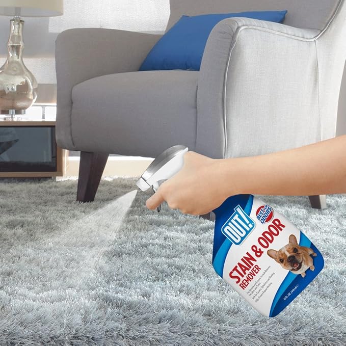 OUT! Pet Stain & Odor Remover 32 oz,