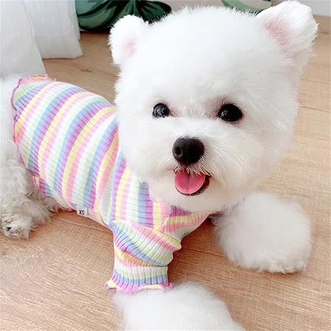 Small Medium Dog Clothes Rainbow Striped Dog Shirts Stretchable Long Sleeve Cat T-Shirt Pet Outfits for Chihuahua Yorkie Teddy (Purple Edge, Small)