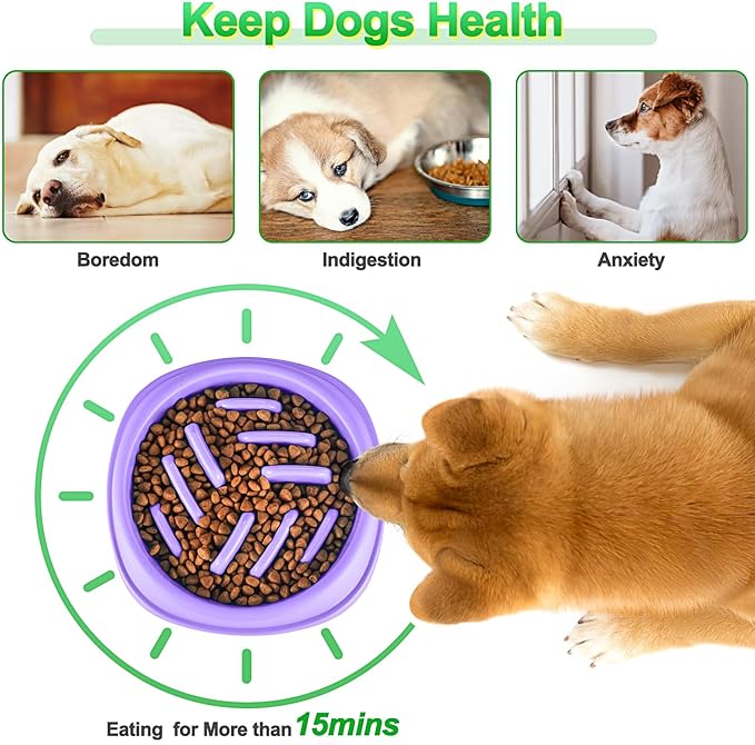 Slow Feeder Dog Bowls 2 Pack