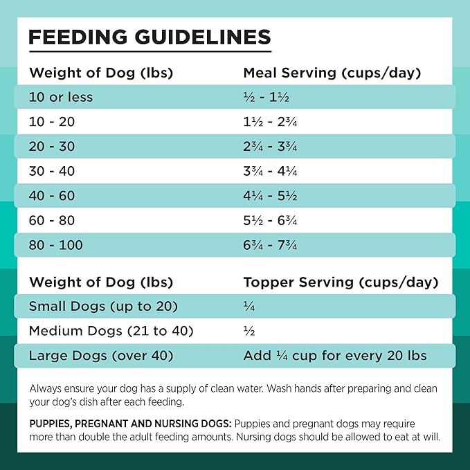 BIXBI Rawbble Freeze Dried Dog Food, Duck Recipe, 4.5 oz - 95% Meat and Organs, No Fillers - Pantry-Friendly Raw Dog Food for Meal, Treat or Food Topper - USA Made in Small Batches