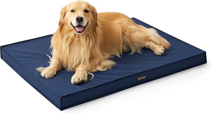 Lesure Waterproof Dog Bed for Medium Dogs