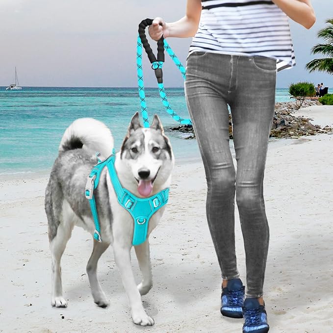 BARKBAY No Pull Dog Harness Large Step in Reflective Dog Harness with Front Clip and Easy Control Handle for Walking Training Running with ID tag Pocket(Ocean Blue