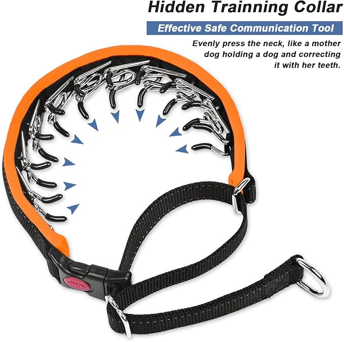 Martingale Collar for Dogs