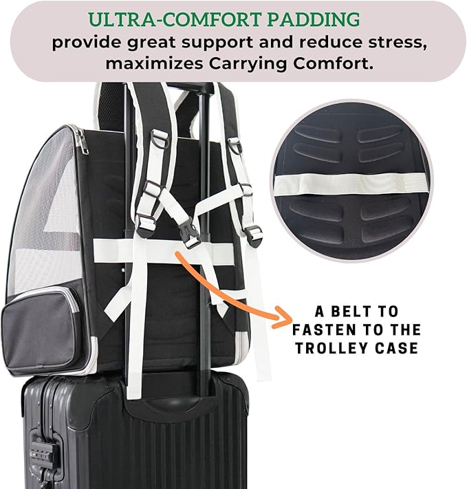 LOLLIMEOW Pet Carrier Backpack for Dogs and Cats
