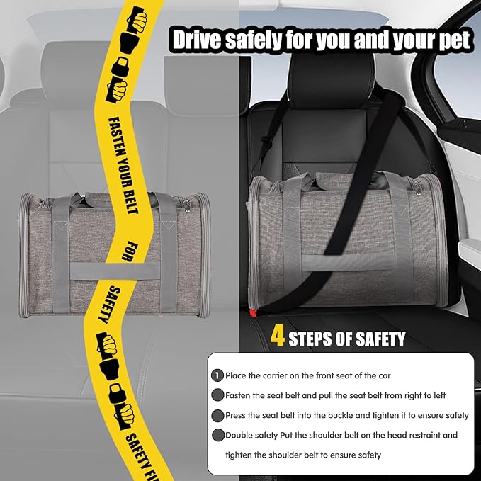 Cat Carrying Case (17*11*11 grey)