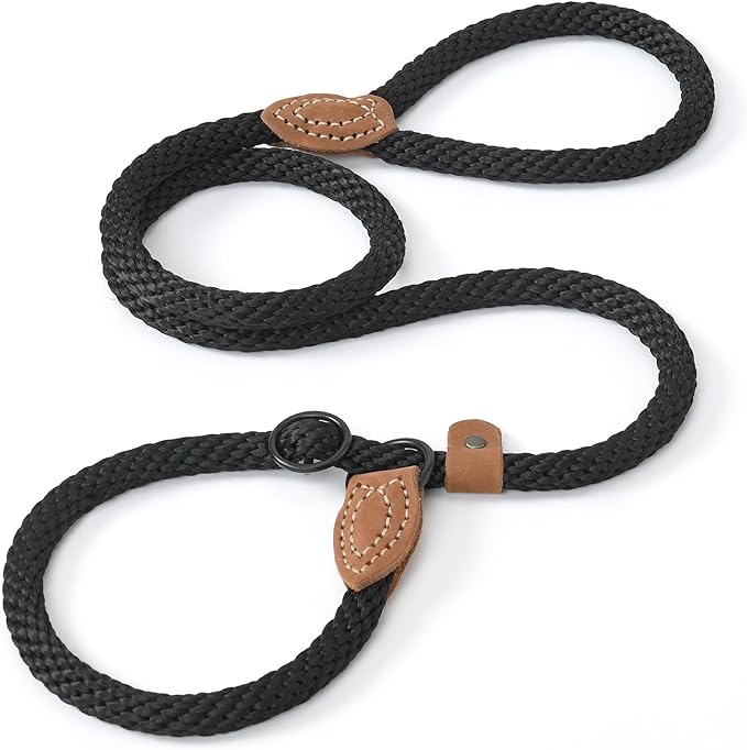 Mile High Life Slip Leads for Dogs 5 Feet