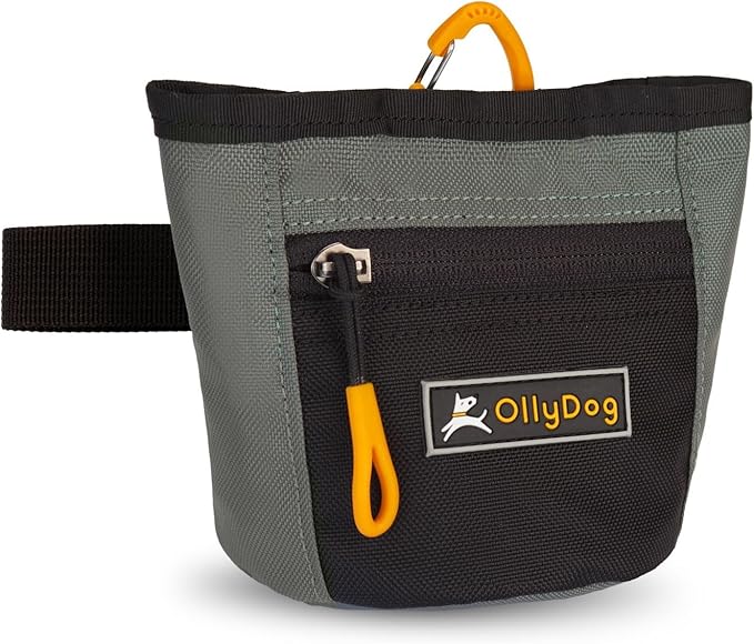 OllyDog Goodie Treat Bag