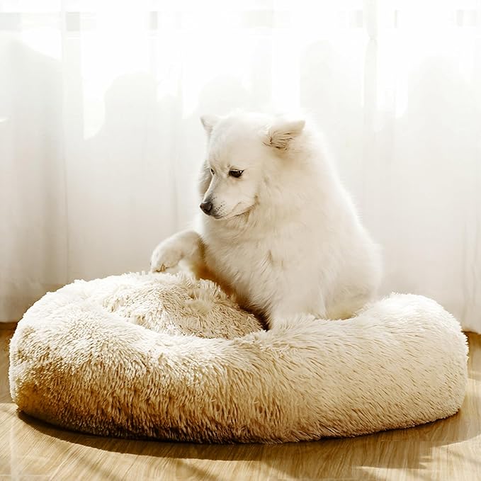 JEMA Calming Small Dog Beds for Small Dogs 22 Inch