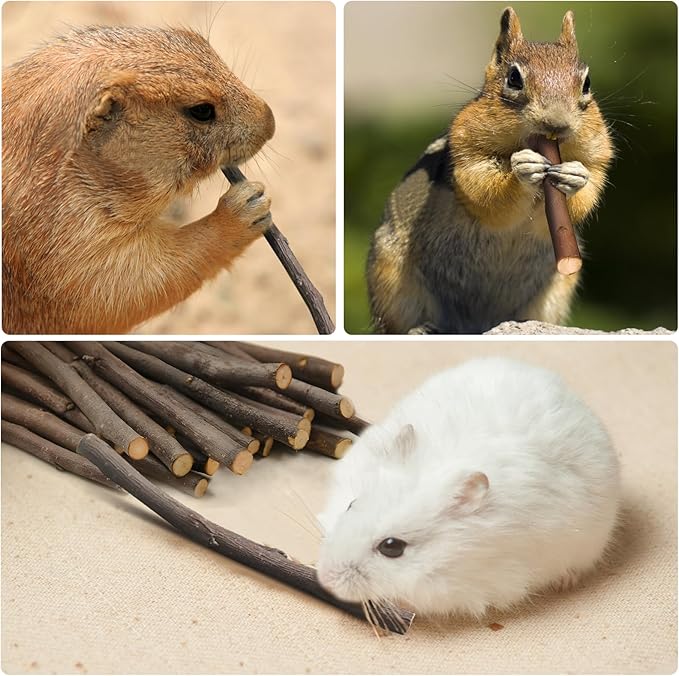 500g Organic Apple Sticks 17.6 Oz Small Animals