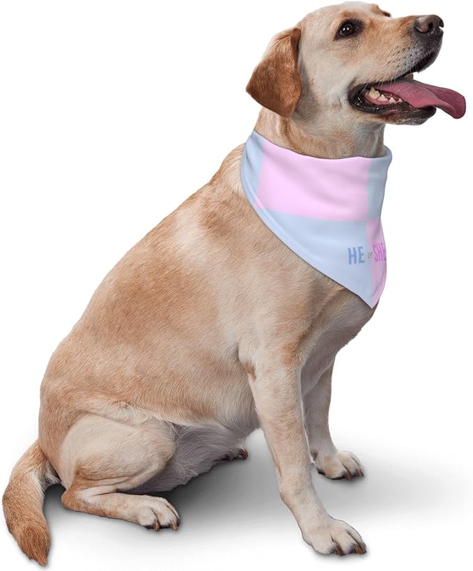 He Or She What Will It Be? Gender Reveal/Baby Announcement Dog Bandana,Pet Neckerchief for Pets Daily Wear Photo Prop Party Supplies (Pink Blue Grid)