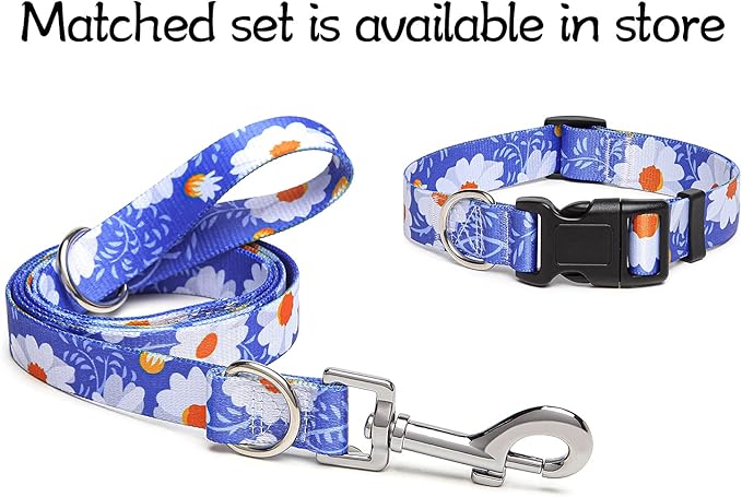 Adjustable Dog Collar with Patterns
