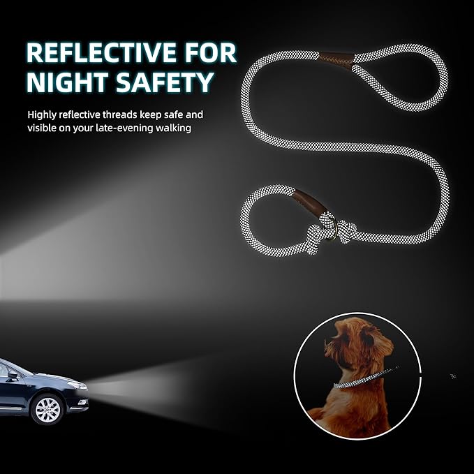 Mile High Life Slip Leads for Dogs 4 Feet