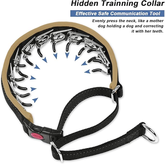 Martingale Collar for Dogs