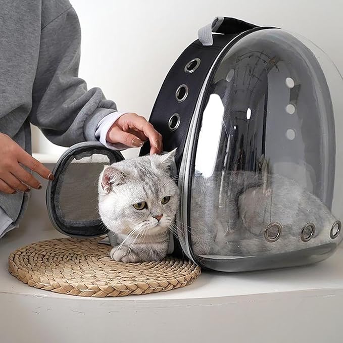 TOYSINTHEBOX Cat Backpack Carrier 13 Lbs